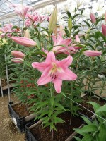 [5198 Kendall VH No01.JPG]